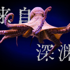 【鬼谷说】蛸类：宿命的轮回