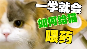 85bba4938fd2fcd0882d6c46fec8384ac28a69d0.jpg@280w_158h_1c_100q.jpg