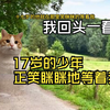 【猫meme】我回头一看，17岁的少年正在笑眯眯地等着我