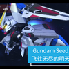 SDG世纪永恒 Gundam Seed 飞往无尽的明天