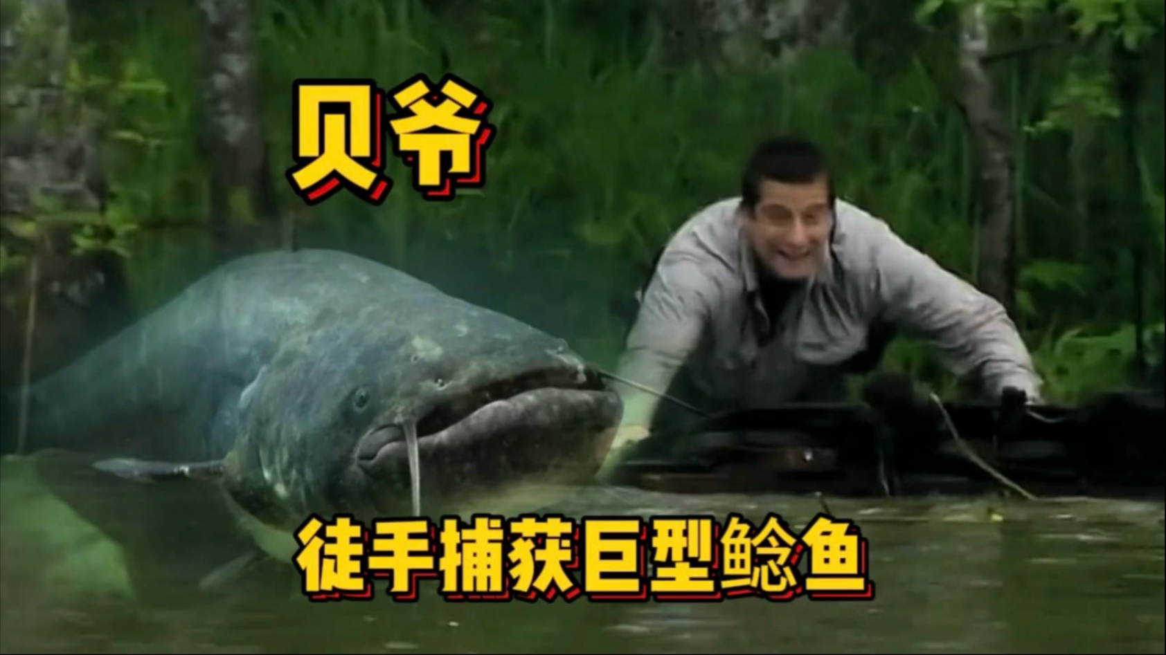 贝爷南部腹地荒野求生 徒手捕获二十斤巨型鲶鱼 吃上碳烤鳄鱼肉