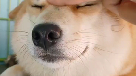 85f0db9cbea8f137b34f0a04aab6c4e1141a64bf.png@280w_158h_1c_100q.jpg