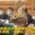 内蒙古代表团审议会议中，这位代表的“小鹿头”太可爱了！