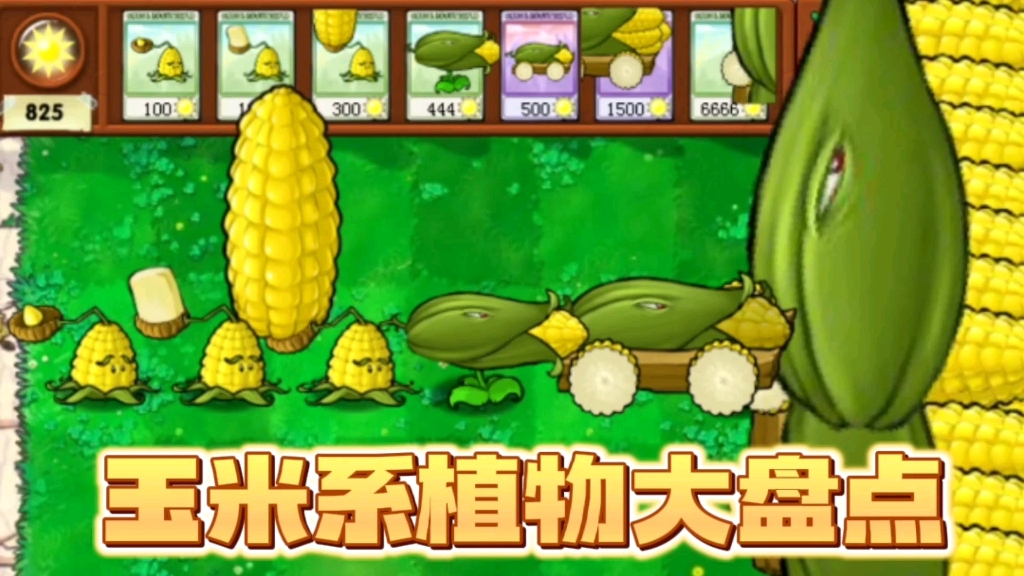 植物大战僵尸:玉米系植物大盘点，超长玉米射手晋升族长！
