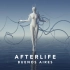 Afterlife Buenos Aires 2023 高光合集