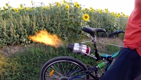 862e051a00492645af47e7746a295c33ca5e6e1b.jpg@280w_158h_1c_100q.jpg