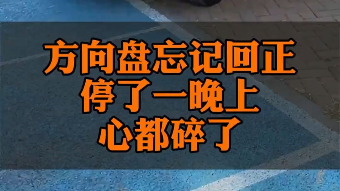 就这样停了一晚上，早知道下车检查一下了