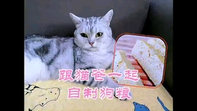 863d2c7f806c88db149c38e653285268bbc3ad96.jpg@280w_158h_1c_100q.jpg