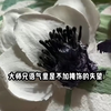 改修无情道后，师兄们哭着求原谅
