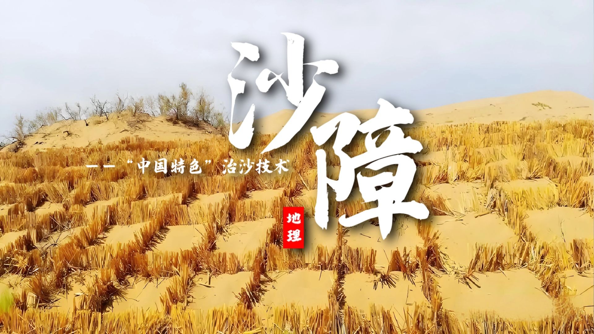 课前三分钟，地理不用愁——沙障【看纪录片学地理】