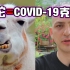 羊驼或成covid-19新冠病毒克星？