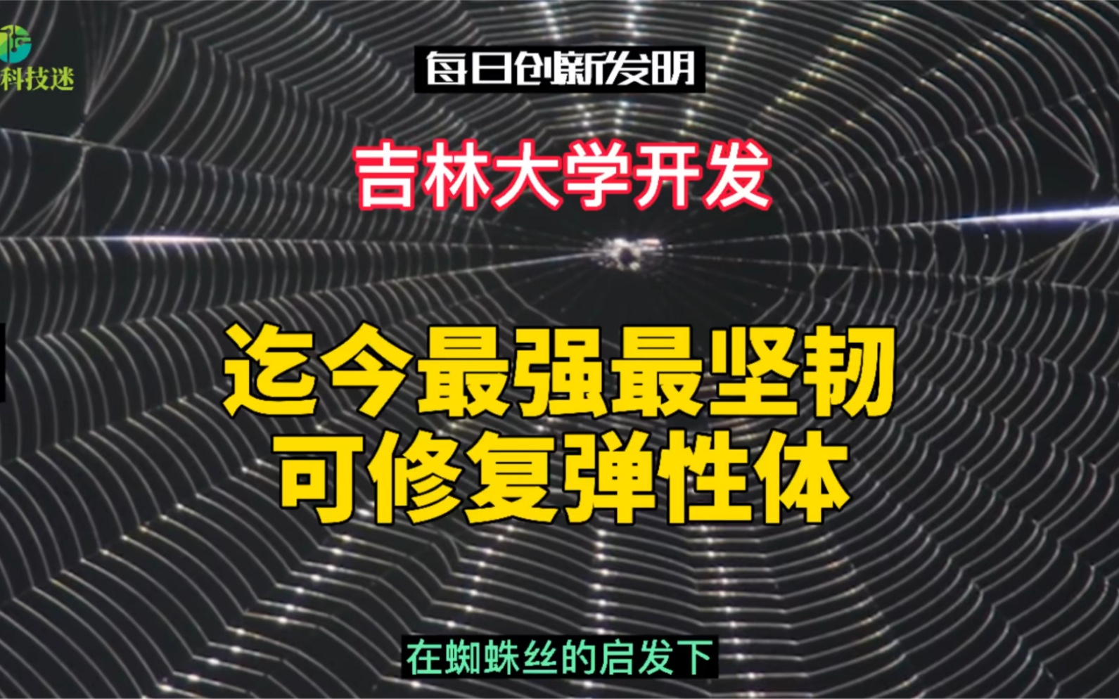 受蜘蛛丝启发，吉林大学科学家开发迄今为止最强最坚韧可修复弹性体