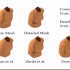 Deep Deformation Detail Synthesis for Thin Shell Models