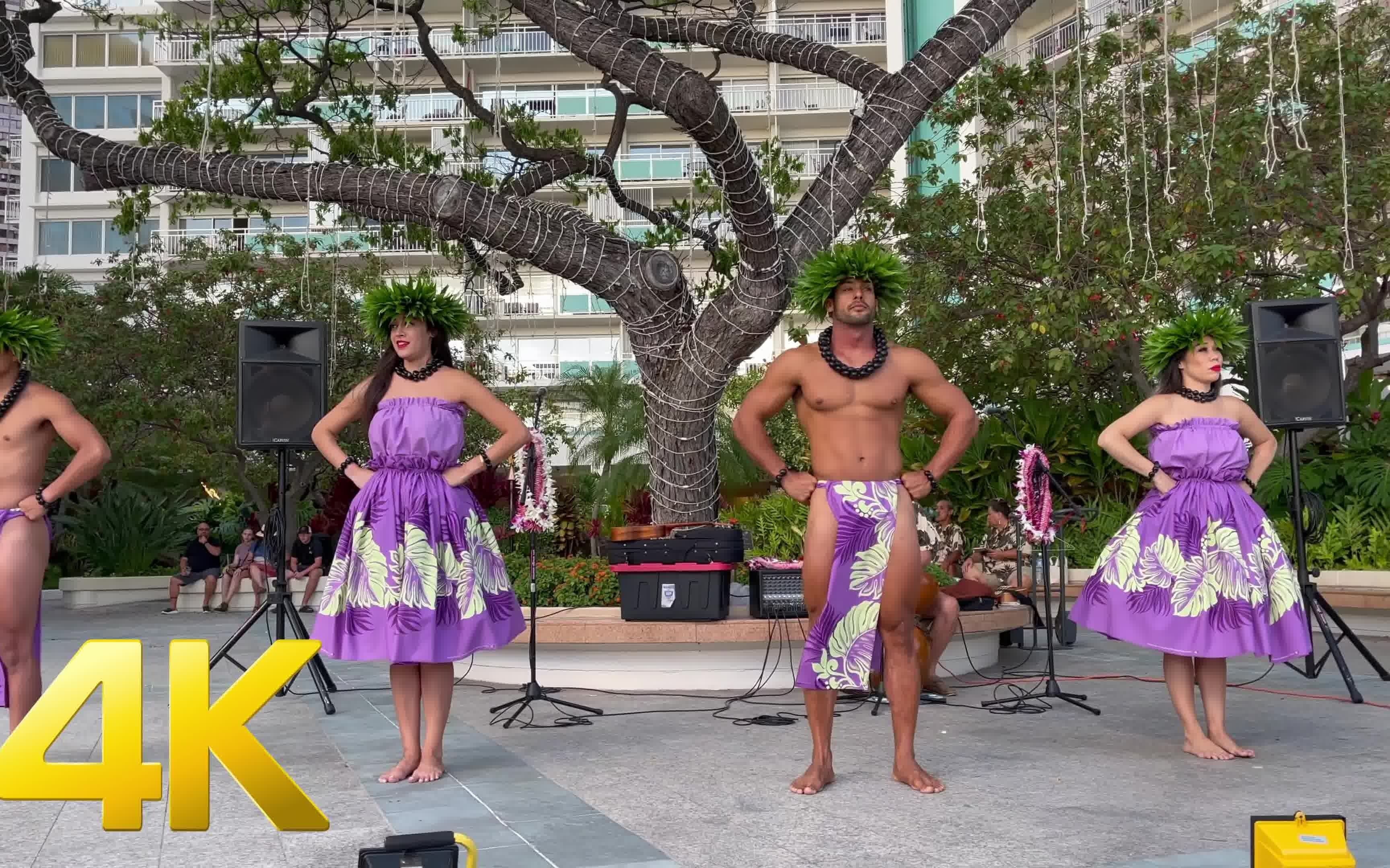 🌴可爱的夏威夷舞者表演Hula舞🌸