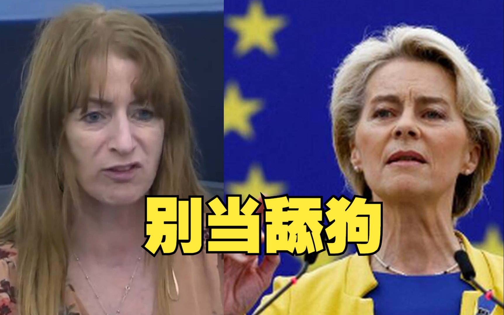 欧洲议会议员声讨冯德莱恩：为美国卖命破坏欧盟对华政策