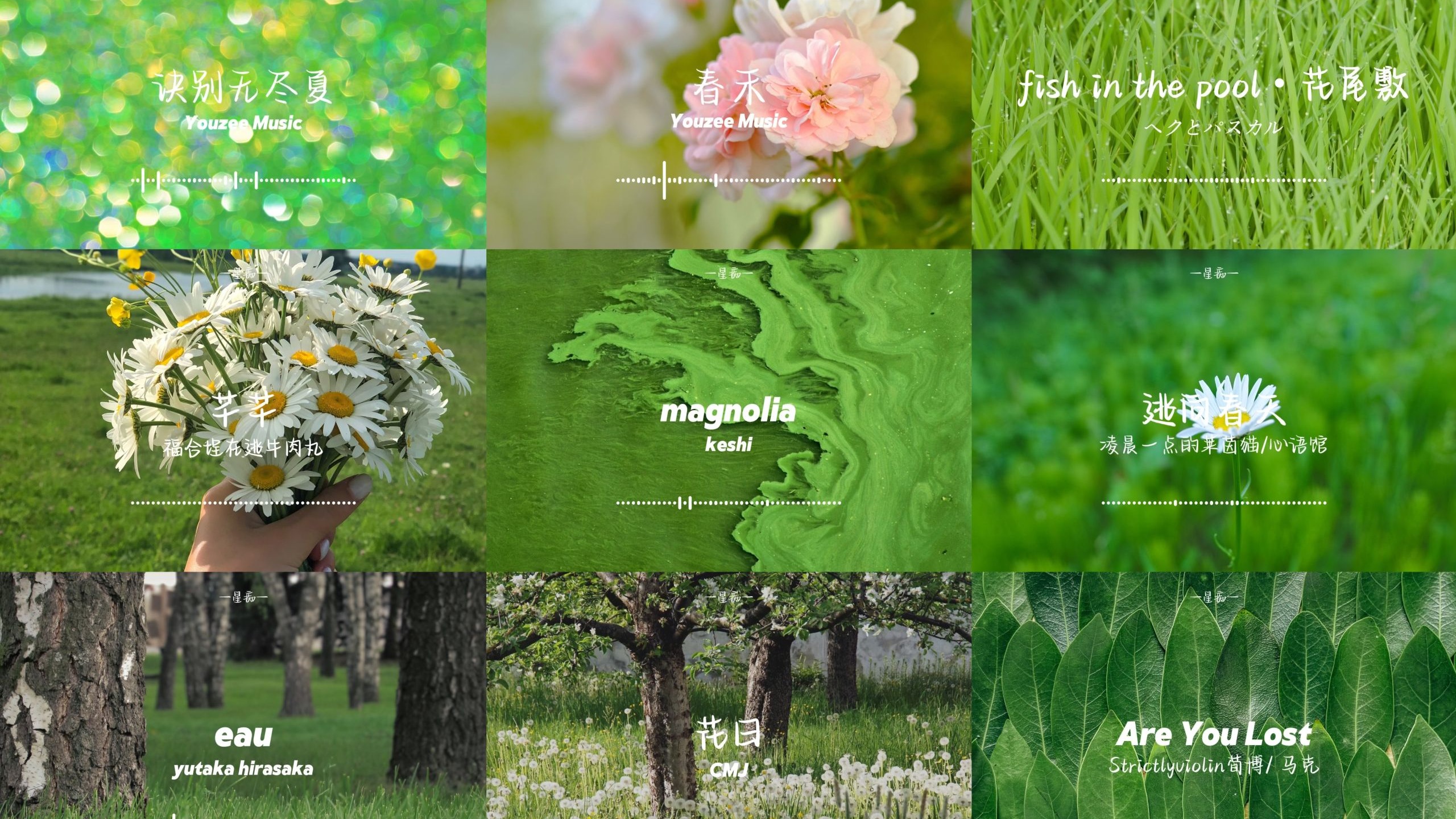 𝙋𝙡𝙖𝙮𝙡𝙞𝙨𝙩 |“春去秋来 是残夏留下的诀别书”| 情绪 氛围感歌单