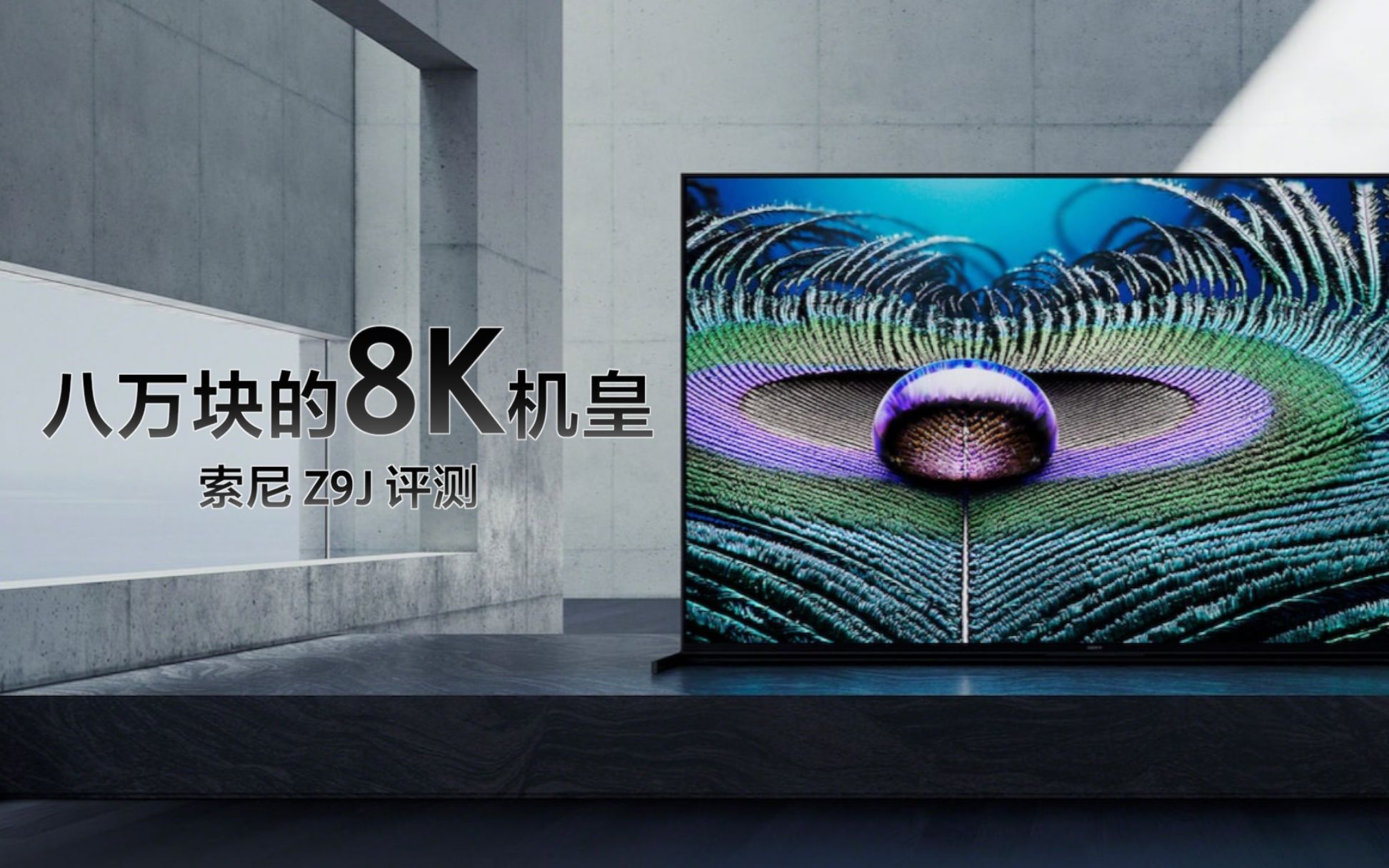 【小泽】我第一次体验八万块的85寸电视丨索尼Z9J 8K电视评测