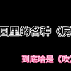 吹箫是什么意思_和平精英