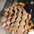 冒着生命危险捅马蜂窝给小鸟加餐，它们却不领情！
