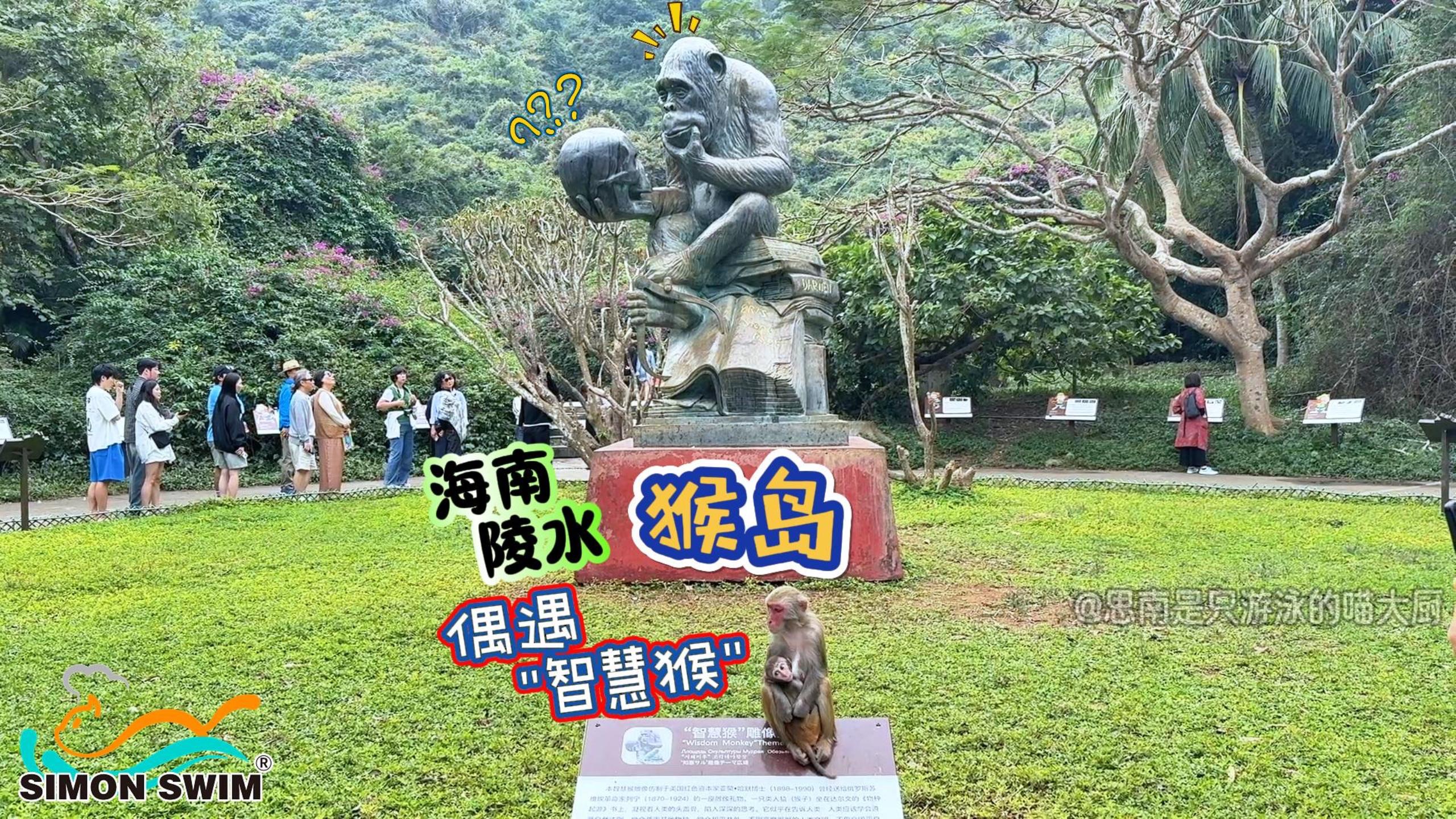 【观察世界】海南陵水，猴岛，偶遇“智慧猴”
