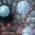 生物医学动画#科学原理动画-免疫系统与癌细胞