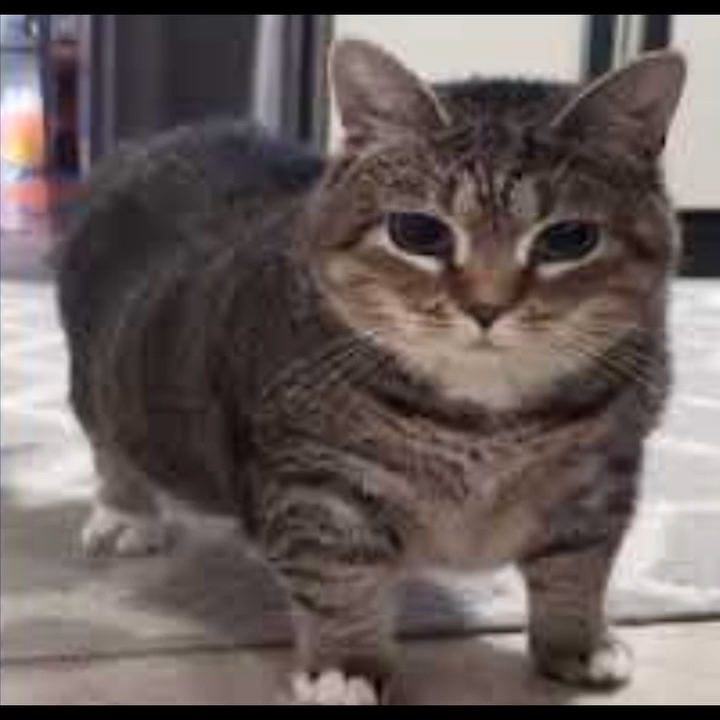 今天我给你们讲最可怕的故事