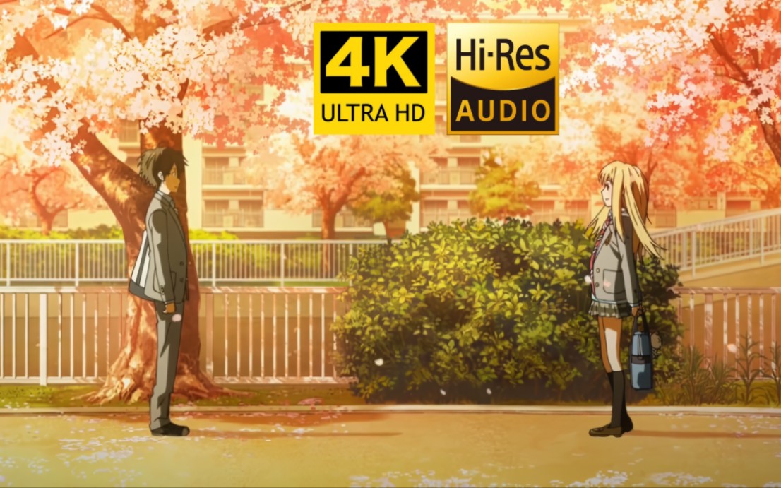 Hi-Res 「四月是你的谎言」片尾曲『オレンジ』4K60帧
