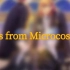【歌王子周年专辑】Stars from Microcosmos