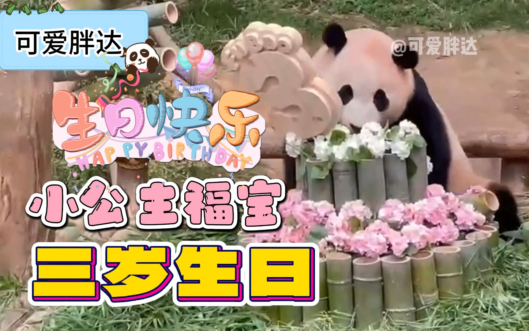 大熊猫福宝的手工玩具合集……|福宝|大熊猫|合集_新浪新闻