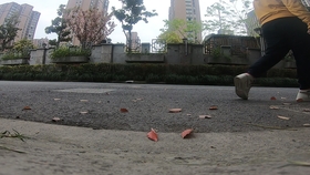 8791b4361edce2754e6ae44584ccde1726ca62b1.jpg@280w_158h_1c_100q.jpg
