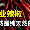 因为曹氏爆火的工业辣椒，居然不是科技与狠活