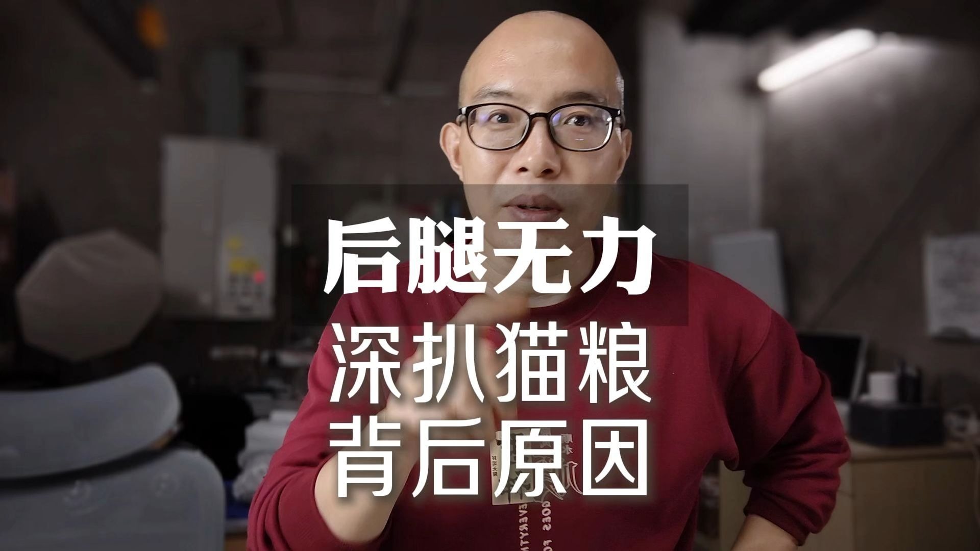 来！我们深挖一下导致猫咪后腿无力的猫粮背后不为人知的原因