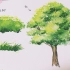 【水彩】一起来画简单的草和树吧—新手向