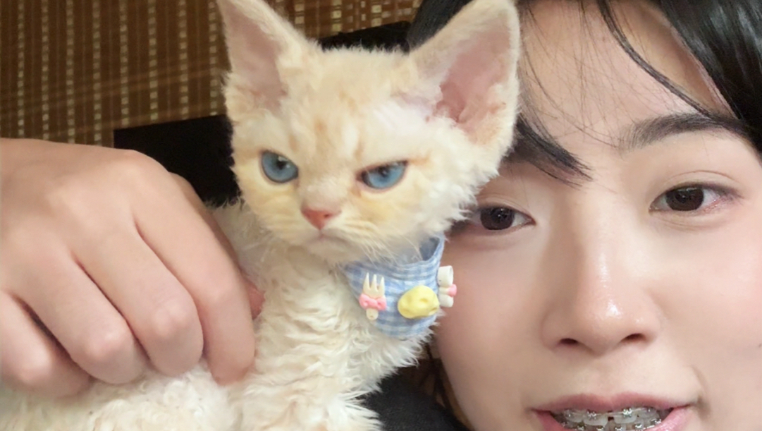 咪 咋还rua生气了呢？！