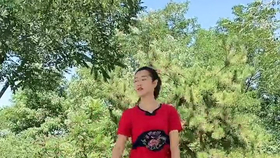 陶笛梅花泪曲谱_陶笛曲谱12孔(4)