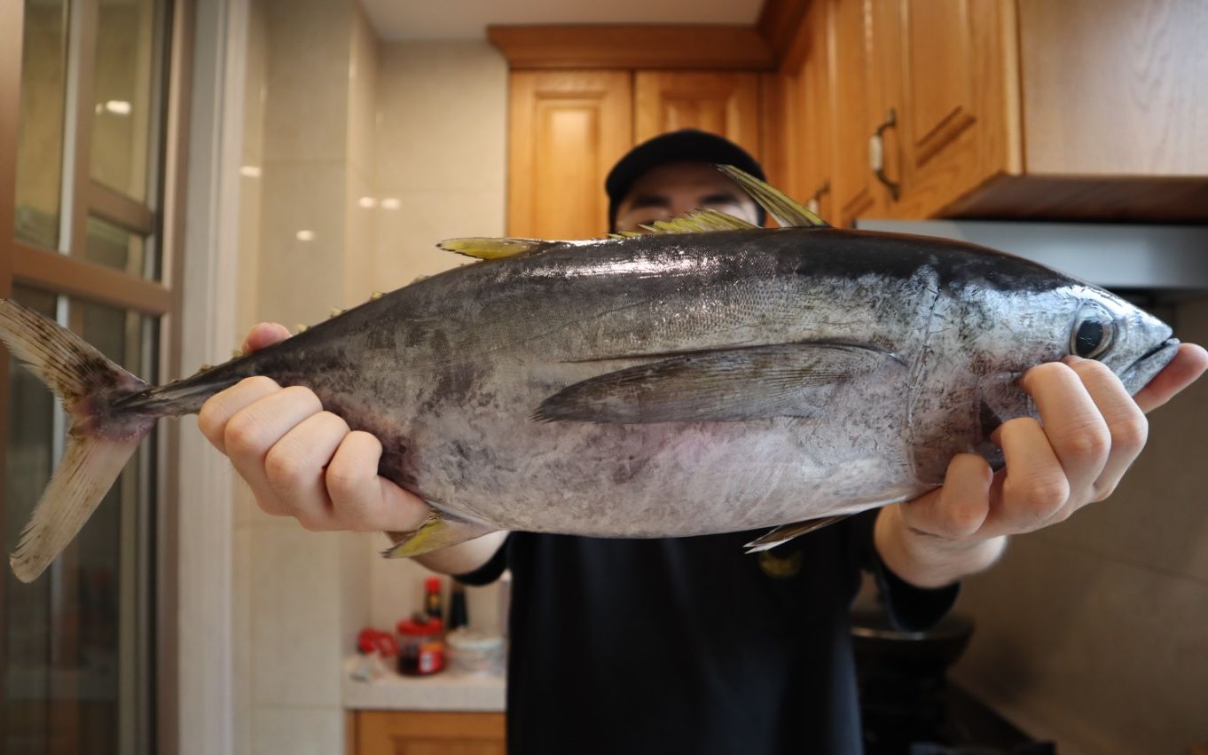日本常见3种金枪鱼（鮪）有什么区别？赤身、中トロ、大トロ都是什么部位？_哔哩哔哩_bilibili