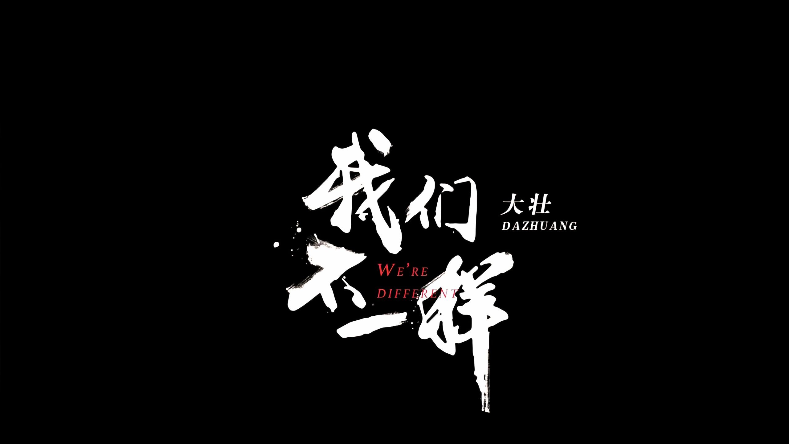 大壮 - 我们不一样 原版4K修复版