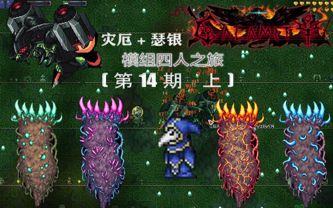 泰拉瑞亚灾厄14期上瘟疫使者歌莉娅邪教乌鸦四柱