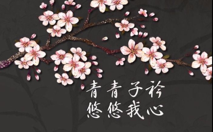 【兰芷】2016.11.13 青青子衿——汉服展示(社团文化节开幕式)