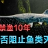 长江休渔10年，如今里面的鱼类怎么样了，禁渔10年能恢复生态吗？