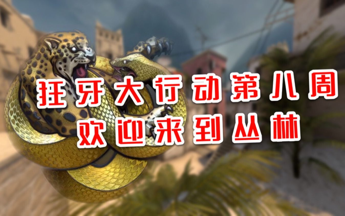 csgo狂牙大行动第八周任务攻略
