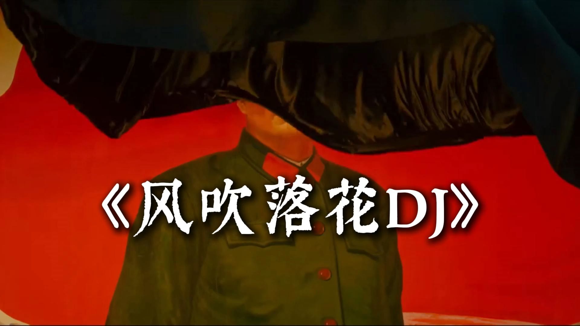 《风吹落花DJ》