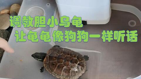 885de13368f981e1798f86eeb7175b3cdbab70d9.jpg@480w_270h_1c