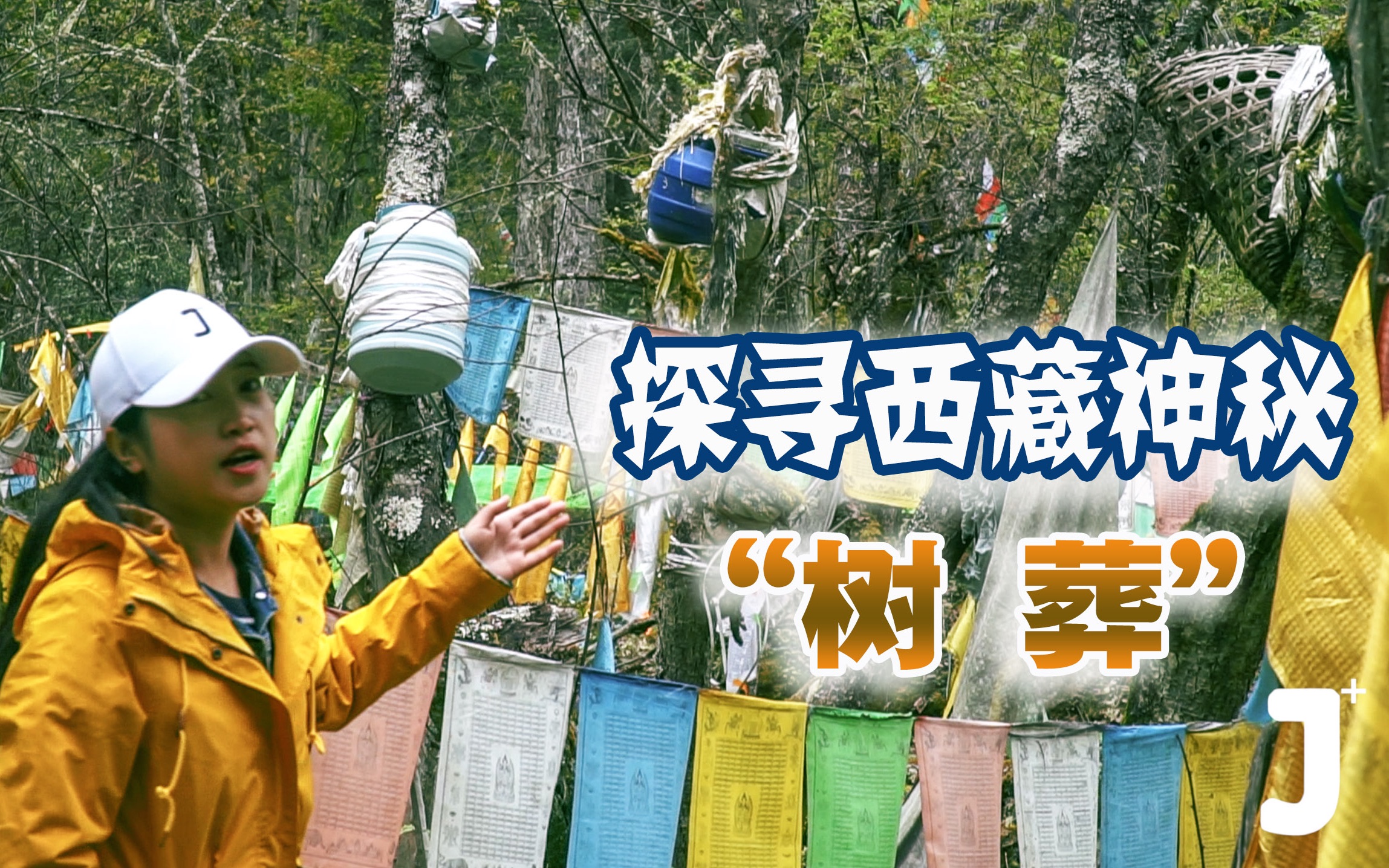 探秘西藏神秘树葬：大树上安置着许多孩童，独特习俗令人生畏！