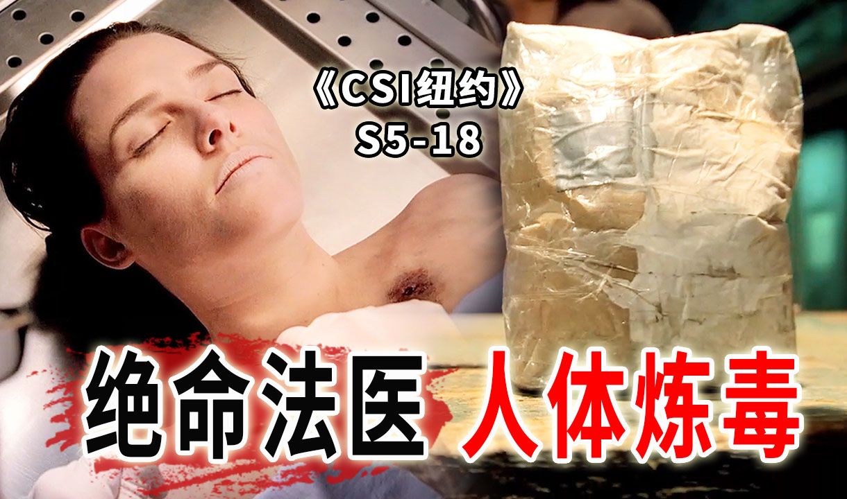专业的就是不一样，法医用人体器官炼毒，纯度堪比绝命毒师《CSI纽约》S5-18