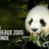 法国Beauval博瓦尔动物园官方宣传片，园子一家出镜，震撼大片即视感！