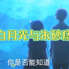 【白月光与朱砂痣】完整版mv分享