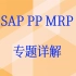 SAP PP MRP项目 视频课程
