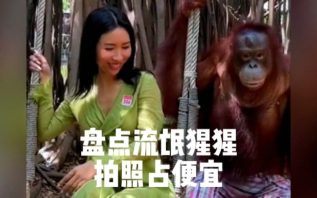 盘点流氓大猩猩和美女拍照，趁机占便宜#泰国网红猩猩 #专治不开心 #看一遍笑一遍