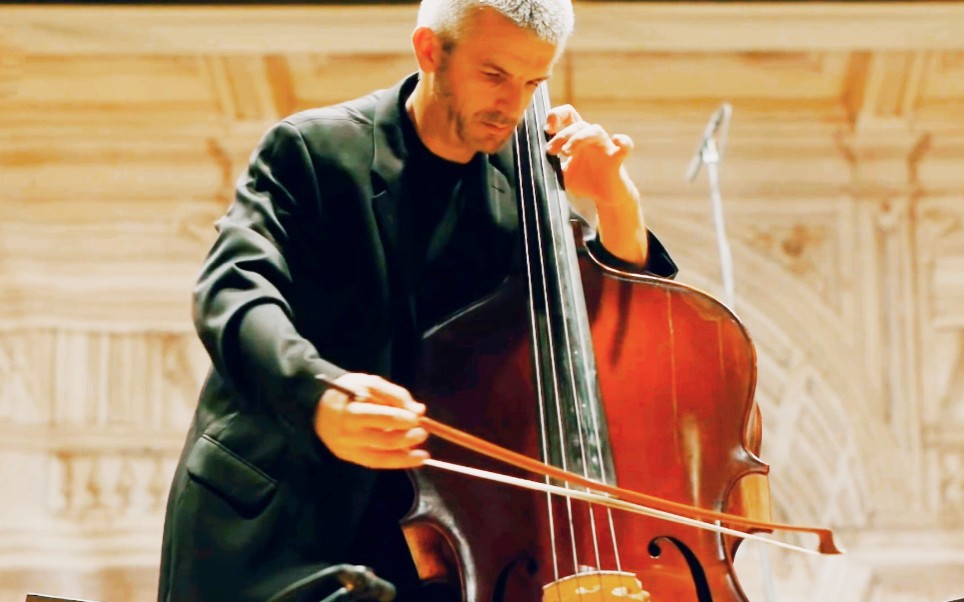 F大调低音提琴协奏曲（卡比契）Capuzzi double bass concerto in F majorBožo Paradžik_哔
